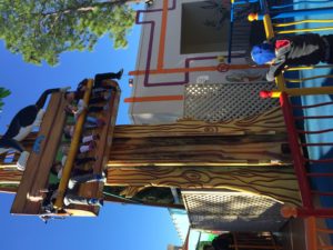 Abby on the Sylvester ride