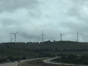 Some wind turbines we passed on the way home.