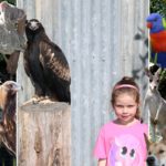 Abby next to a Wedge Tail Eagle