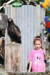 Abby next to a Wedge Tail Eagle