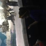 Abby looking at Penguins at Sea World