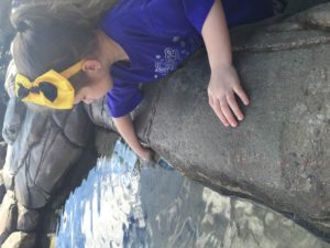 Abby patting a Manta Ray at Sea World