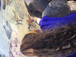 Abby patting a Starfish at Sea World